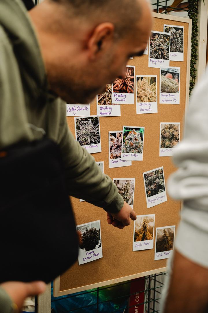 Pinnwand mit Polaroids verschiedener Sorten